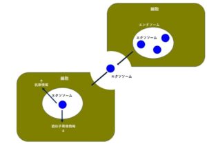 けいはんなプラザ ラボ棟入居企業(株)ジャパン・オーガニック・イールドが国立大学教授宇都義浩氏と学術顧問契約を締結