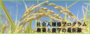 【京大農場】2025年度社会人履修証明プログラム履修者募集